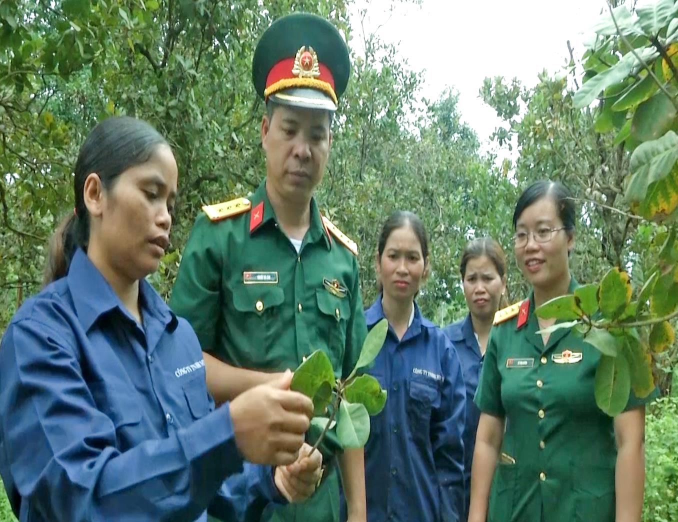 Đa dạng mô hình giúp phụ nữ người dân tộc thiểu số 